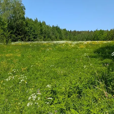 럭셔리텐트 Bell-tent Noord