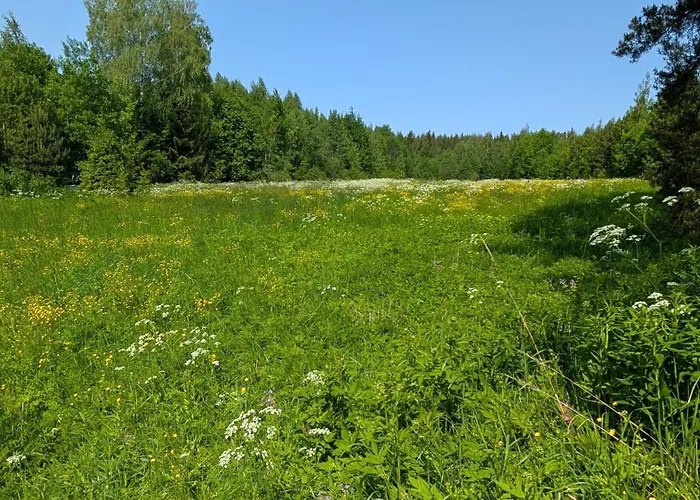 럭셔리텐트 Bell-tent Noord